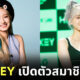 Fleem Template The Joi FBWebsite 9 1