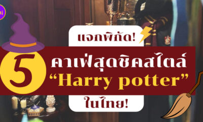 คาเฟ่สไตล์ Harry potter