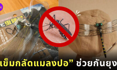 เข็มกลัดแมลงปอไล่ยุง