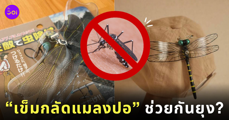 เข็มกลัดแมลงปอไล่ยุง