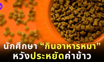 นักศึกษากินอาหารหมาเพราะอยากประหยัด