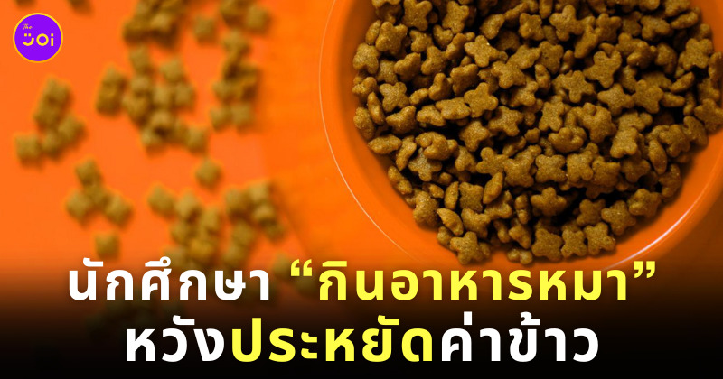 นักศึกษากินอาหารหมาเพราะอยากประหยัด