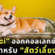 Gucci ออกคอลเลกชันใหม่สำหรับสัตว์เลี้ยง