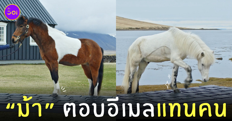 ม้าตอบอีเมลแทนคน