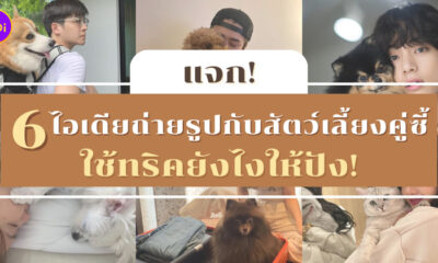 ไอเดียถ่ายรูปกับสัตว์เลี้ยงคู่ซี้