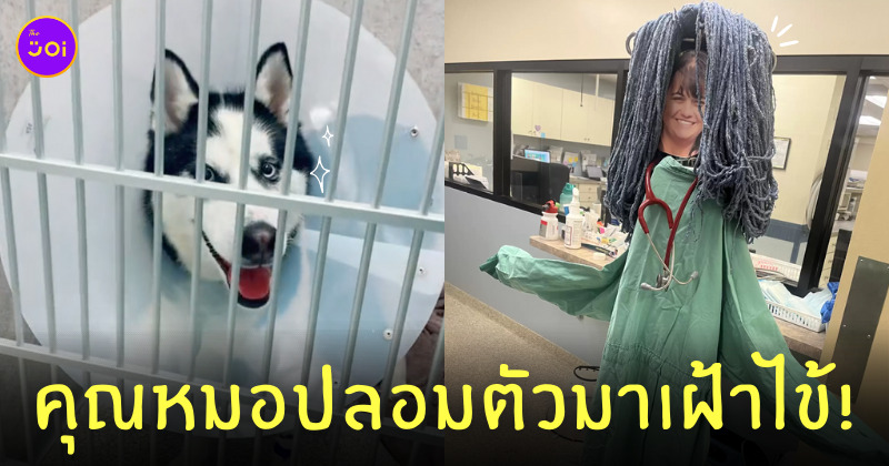ไซบีเรียนฮัสกี