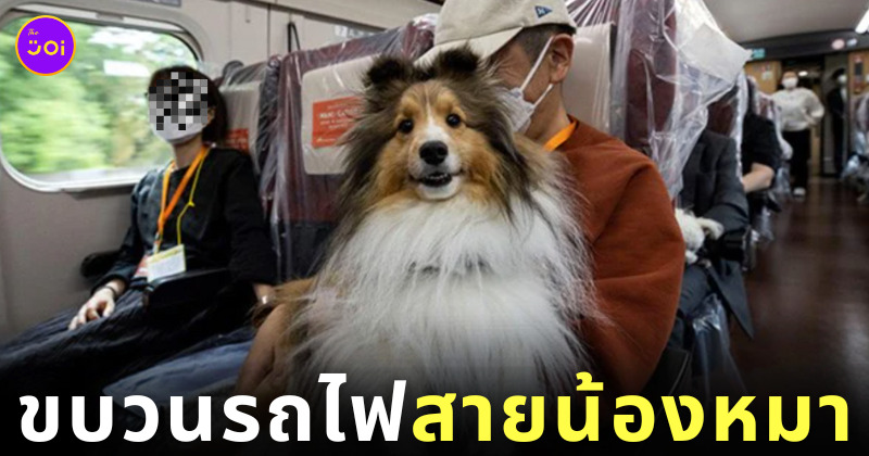 ขบวนรถไฟสายน้องหมา