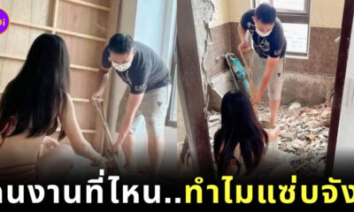 จ้างสาวแซ่บช่วยรื้อบ้าน