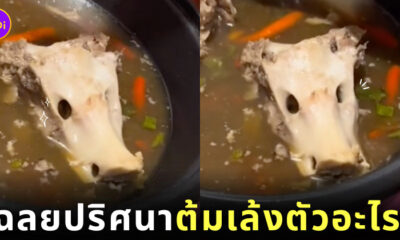 ต้มเล้งหัวหมา