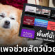 เพจช่วยเหลือหมาชื่อดังถูกชาวเน็ตวิจารณ์ยับ! นำเงินบริจาคไปใช้ส่วนตัวอู้ฟู่