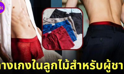 เรียบหรูมันธรรมดาไป "วาโก้ญี่ปุ่น" ออกคอลเลกชั่นกางเกงในลายลูกไม้เอาใจท่านชายแดนปลาดิบ