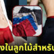 เรียบหรูมันธรรมดาไป "วาโก้ญี่ปุ่น" ออกคอลเลกชั่นกางเกงในลายลูกไม้เอาใจท่านชายแดนปลาดิบ