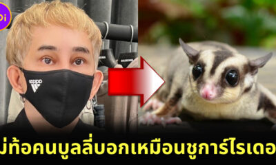 พชร์ อานนท์ ไม่ท้อคนบูลลี่หน้าใหม่เหมือนชูก้าไรเดอร์ เตรียมทำคอเร็ว ๆ นี้