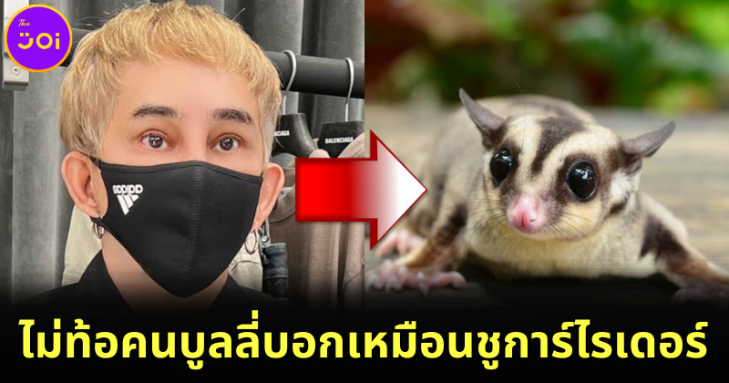 พชร์ อานนท์ ไม่ท้อคนบูลลี่หน้าใหม่เหมือนชูก้าไรเดอร์ เตรียมทำคอเร็ว ๆ นี้