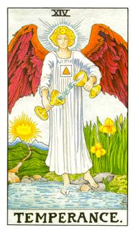 คู่ที่ 5 Temperance / Hierophant