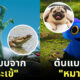 Fleem Template The Joi FBWebsite 1 6