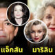 Fleem Template The Joi FBWebsite 3 1 1