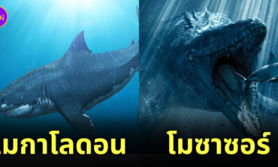 สัตว์ประหลาดใต้ทะเล
