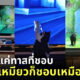 เกม stray ps4 แมว