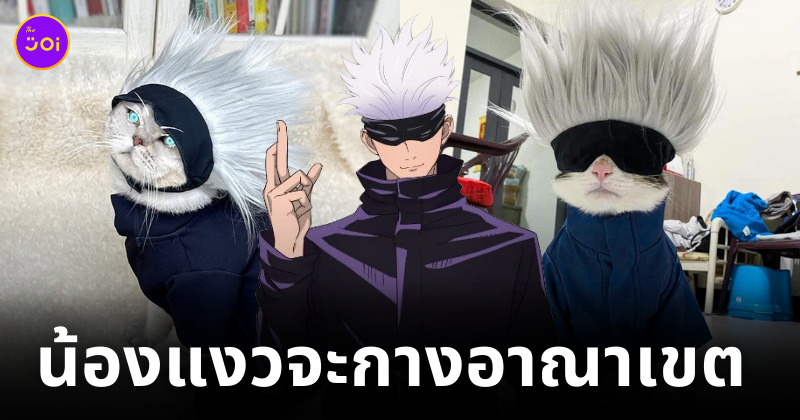 ชุดคอสเพลย์ โกโจ แมว