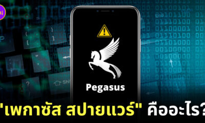 เพกาซัส สปายแวร์ คือ