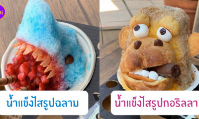 น้ําแข็งใสญี่ปุ่นรูปสัตว์โลกน่ารัก