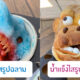 น้ําแข็งใสญี่ปุ่นรูปสัตว์โลกน่ารัก