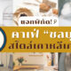 คาเฟ่ชลบุรี