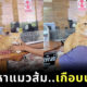 คดีแมวส้มอึลงแปลงผักเพื่อนบ้าน