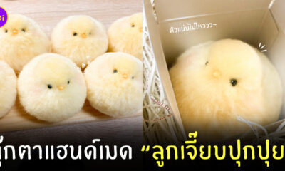 ตุ๊กตาลูกเจี๊ยบแฮนด์เมด