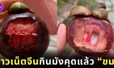 คนจีนโวย กินเปลือกมังคุด