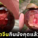 คนจีนโวย กินเปลือกมังคุด