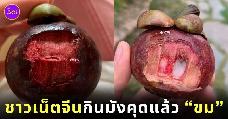 คนจีนโวย กินเปลือกมังคุด