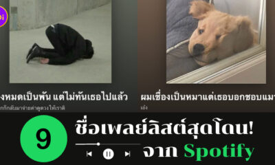 ชื่อเพลย์ลิสต์ spotify โดนๆ