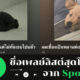 ชื่อเพลย์ลิสต์ spotify โดนๆ