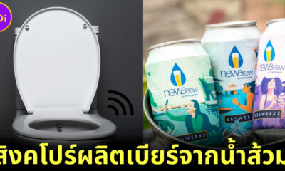 สิงค์โปรผลิตคราฟต์เบียร์ NEWBrew จากน้ำเสีย ทั้งอร่อยและประหยัดน้ำอย่างยั่งยืน