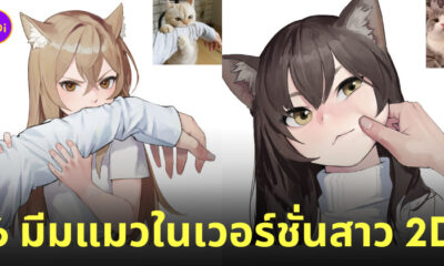 ตัวการ์ตูนสาวแมว