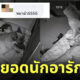 เยอรมันเชพเพิร์ด อารักขา