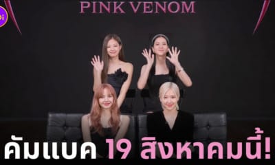 pink venom คอนเสิร์ต