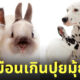 Fleem Template The Joi FBWebsite 3 10