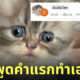 แมวพูดได้ meowtalk