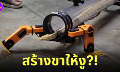งูมีขาหุ่นยนต์