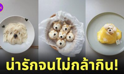 แต่งจานอาหาร