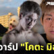 โคตะ มิอุระ ig
