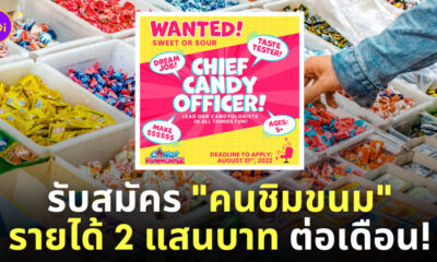 รับสมัครคนชิมขนม