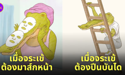 จระเข้ใช้ชีวิตเป็นมนุษย์