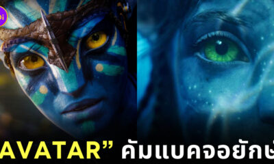 อวตาร Avatar เข้าโรงอีกครั้ง
