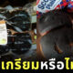อังกฤษขายขนมปังเกรียม
