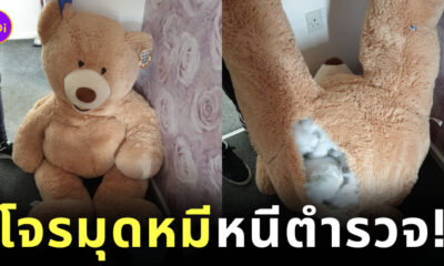 โจรซ่อนตัวในตุ๊กตาหมียักษ์