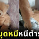 โจรซ่อนตัวในตุ๊กตาหมียักษ์